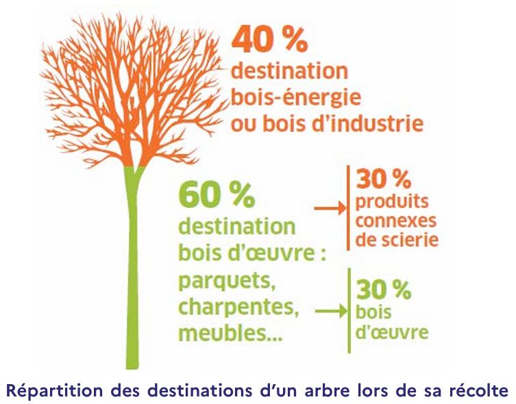 Répartition des destinations d'un arbre lors de sa récolte