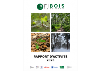 Rapport d'activité 2025