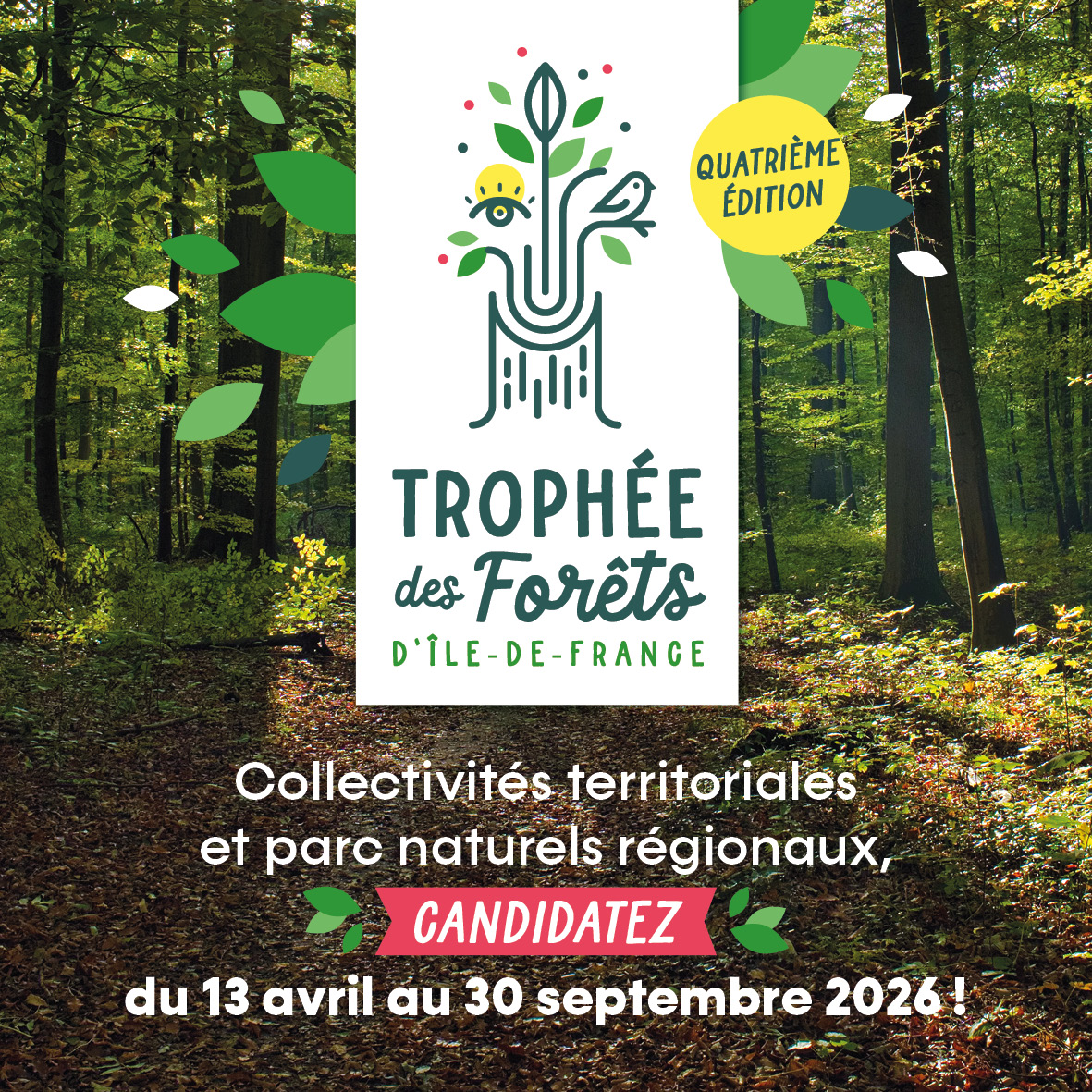 Trophée des forêts 2026